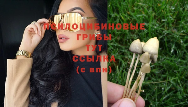 ГАЛЛЮЦИНОГЕННЫЕ ГРИБЫ Алексин