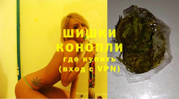 ГАЛЛЮЦИНОГЕННЫЕ ГРИБЫ Алексин