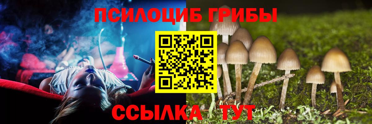Тайшет  наркота  Вход с VPN  Галлюциногенные грибы Magic Shrooms 