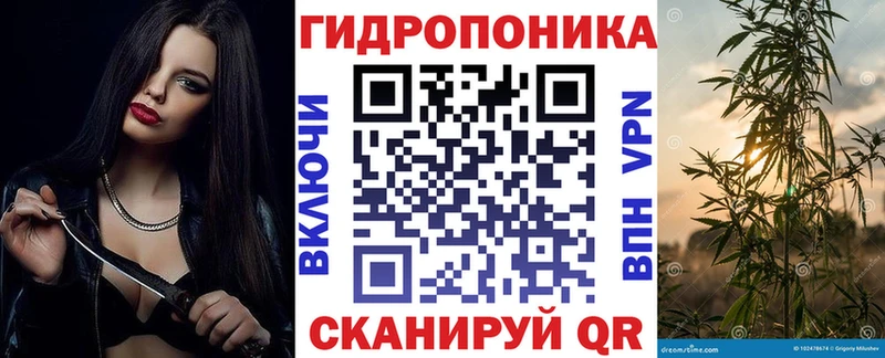 Канабис Ganja Тайшет